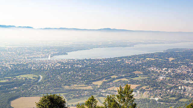Estancia : Entre Salève y Ginebra