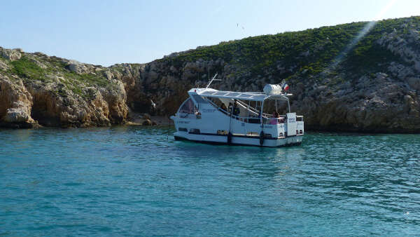 2-hour ecological tour: the biodiversity of Marseille's islands