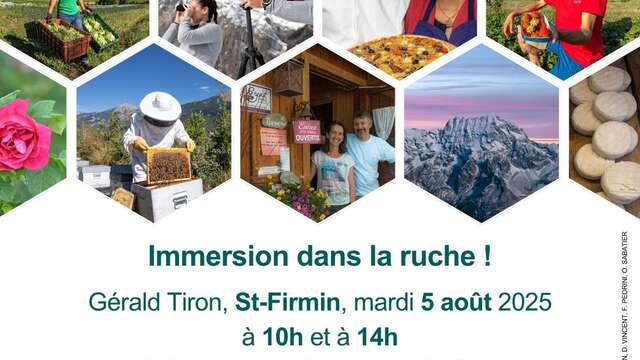 Immersion dans la ruche !