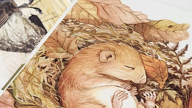 "La Bébé-Bib" : les toutes petites lectures