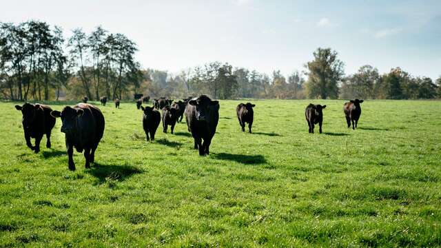Ferme du Trèfle, les coulisses de l'innovation