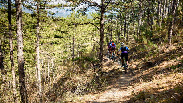 VTT n°15 - La rando du Cairn
