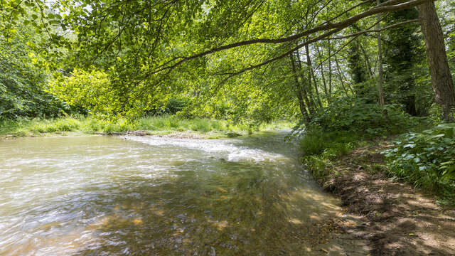 The river of pebbles