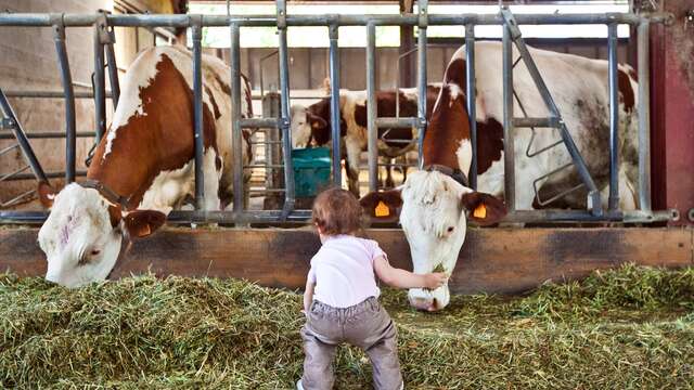 De ferme en ferme dans le Forez