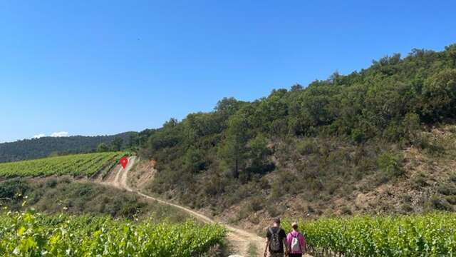 Chasse aux trésors au Château Pas du Cerf