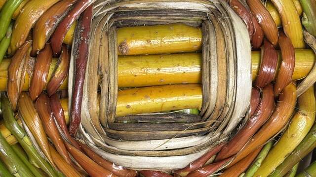 Au labo du Château : Vanne & rie !