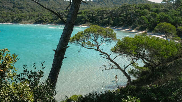 Strand Notre Dame