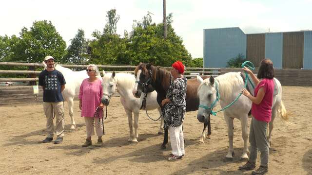 BiodynamiCaval - Section Thérapie du SLEM
