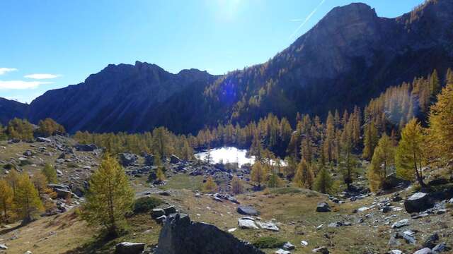 Escursione con visita guidata alle incisioni rupestri nelle valli delle Merveilles e di Fontanalba, avvicinamento motorizzato, Pierre Berlière