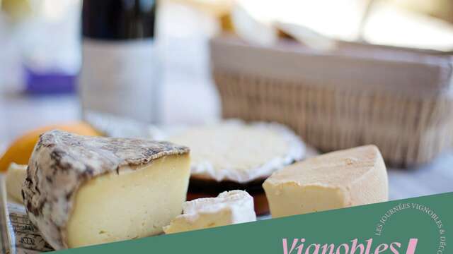Dégustation Vin & Fromage - Terres de Syrah