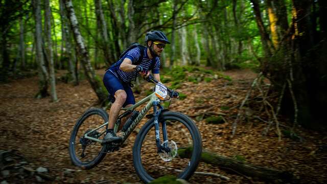 N°64 - Le Haut Forez - Espace VTT-FFC Massif des Bois Noirs