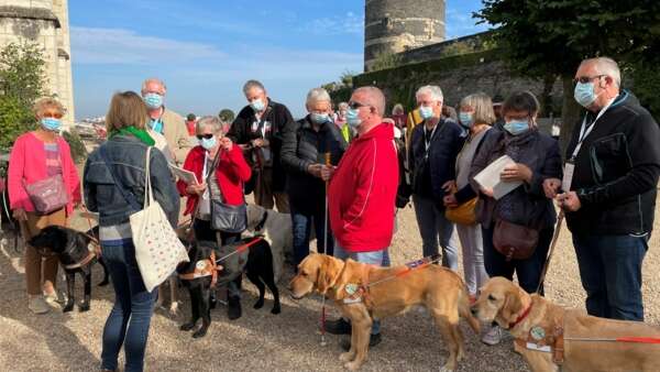 Visite commentée : Le château sur le bout des doigts