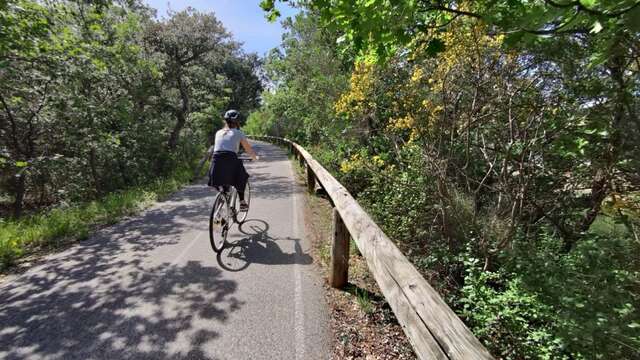 Parcours cyclable du littoral - V65 : Bormes-les-Mimosas > Le Lavandou