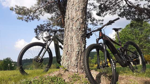 École de pilotage, Rando moto et VTT AE - Greg Fayard