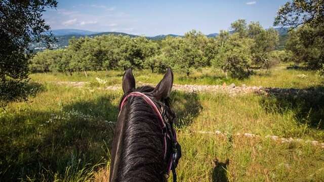 Haras des Villards: Balade demi-journée "Vue mer et montagne"