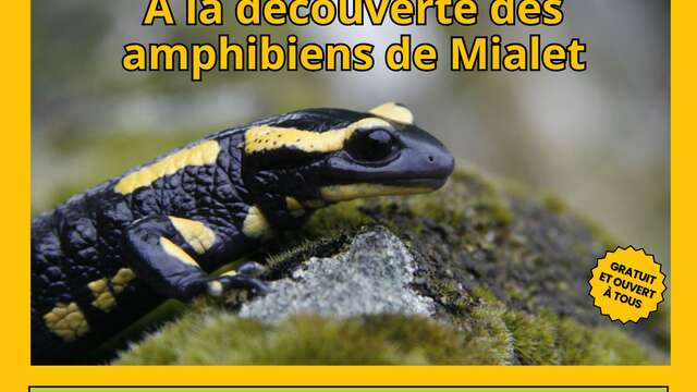 A la découverte des amphibiens de Mialet
