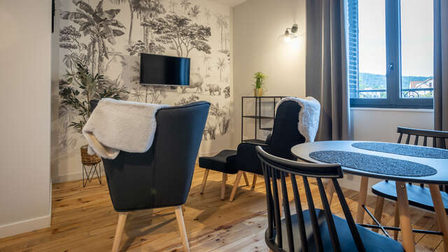 Meublé Puy de Mercoeur - 202