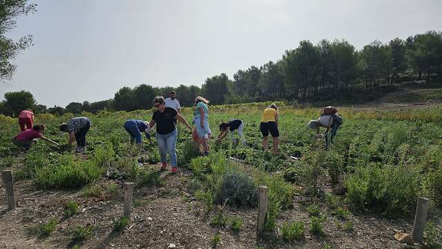 Aïoli Caganis - agroökologischer Bauernhof