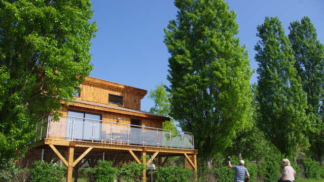 Cabanes en bois Kanopée Cottages