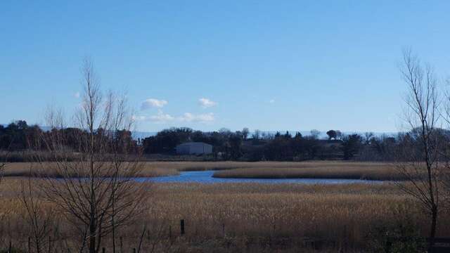 Aire de pique-nique et Toilettes Etang Salé