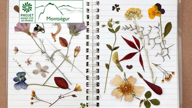Relier son mini-herbier