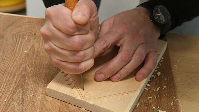 Visite-atelier adulte I Touchons du bois!