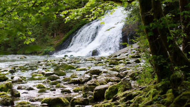 Anes et Flore - Cascade du Pissieu