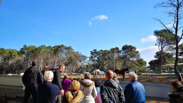 Visite du centre équestre Le Deven