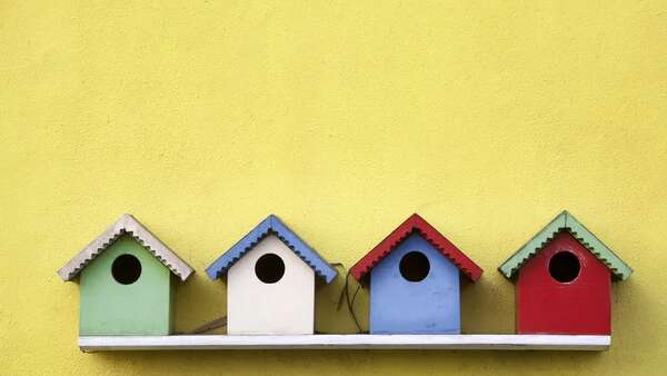 Atelier décoration de minis-nichoirs