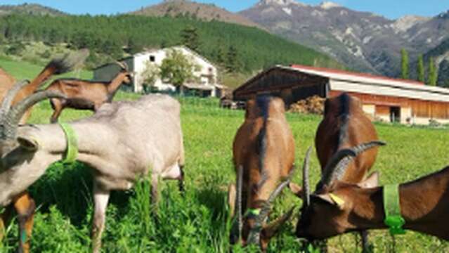 De Ferme en Ferme - La Ferme de La Tournelle