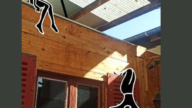 Lecture de Voix Mêlées