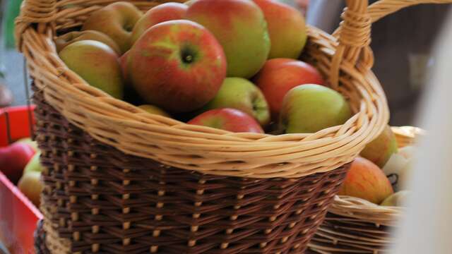 Magazin der Abtei Notre Dame des Dombes