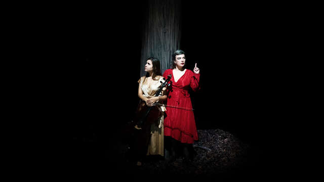 Birds On A Wire (folk, musiques du monde) - ÀLAFOLIE !