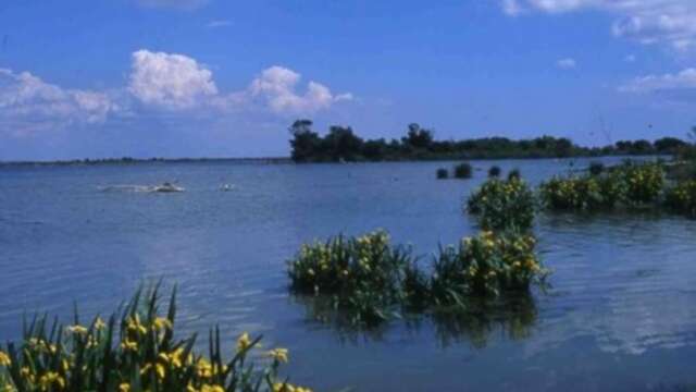 Fête de la nature 2026 : Visite guidée au domaine de la Palissade