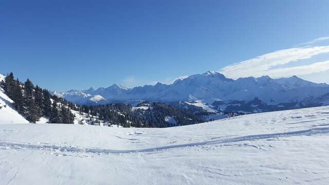 Itinéraire ski de randonnée La Rose du Chapet - N°8