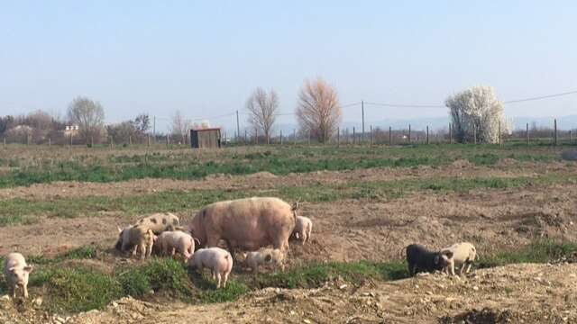 GAEC La ferme de Presles- Bertrand et Aurélie Clavelloux