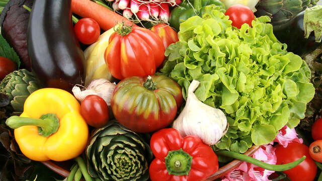 Moutte Patrick & Guy, Vegetable growers