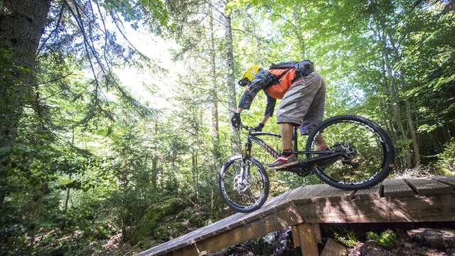 Itinéraires descendants VTT