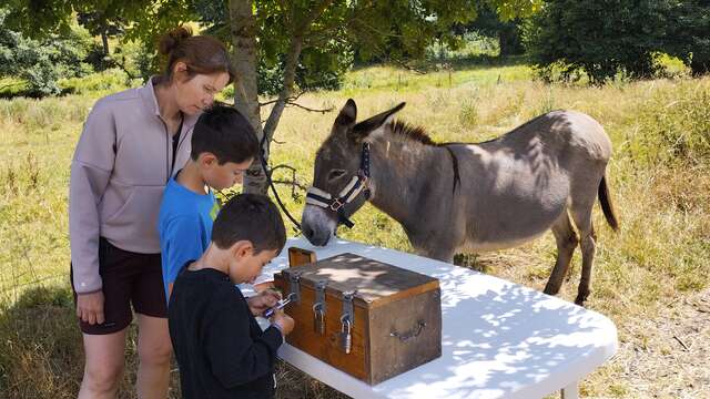 Chasse au trésor avec un âne et goûter gourmand - L'Automnal gourmand
