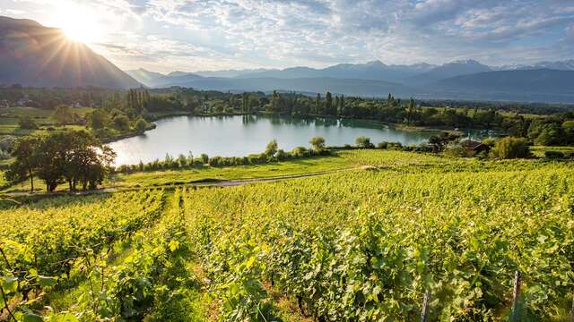 Chambéry et la route des vins de Savoie (1 jour)