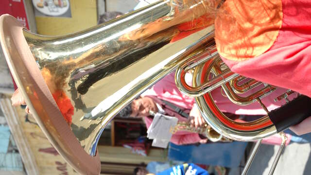 Les concerts de la Feria du Riz