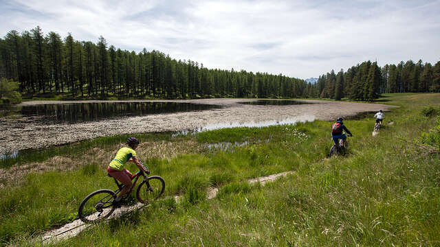 Lac de Roue, une balade dans les mélézes en VTT