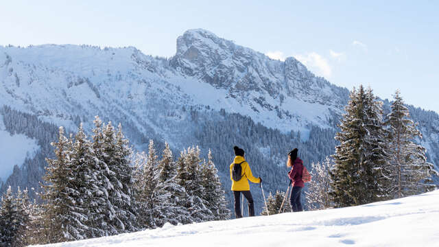 Gold Mines Lake walk - Snowshoe trail