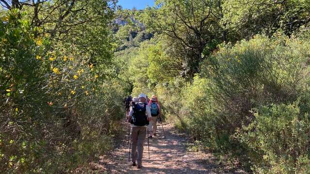 Evasion et Randonnée