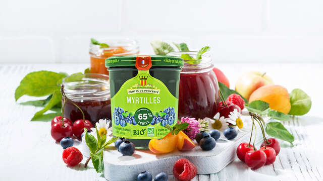 Les Comtes de Provence