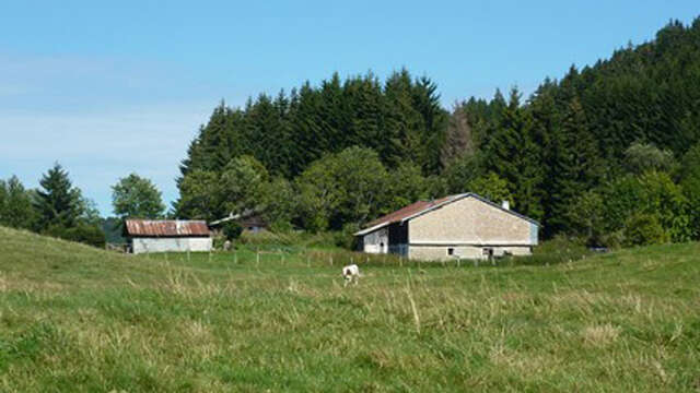 Randonnée "Col du Feu - Col des Moises"