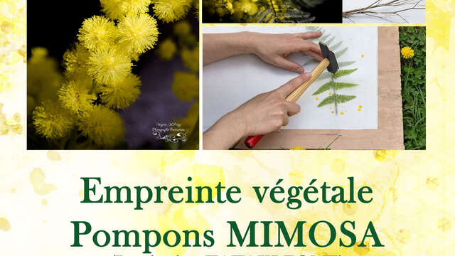 Atelier à l'Oustaou dòu pais-Empreinte végétale Pompons Mimosa