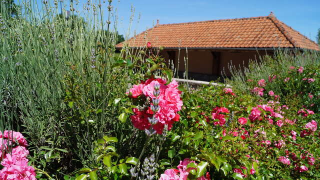 Sentier Les grands chambons