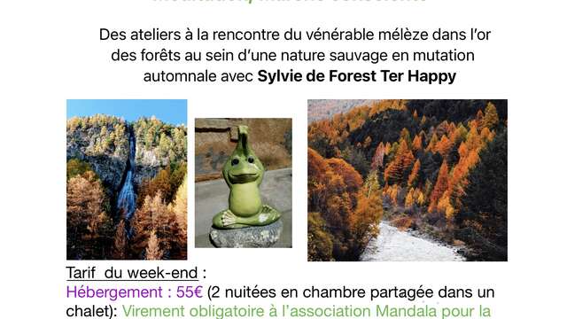 Parenthèse au pied des mélèzes