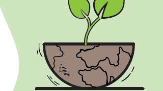 Conférence à LudOGaïa : les plantes sauvages comestibles
